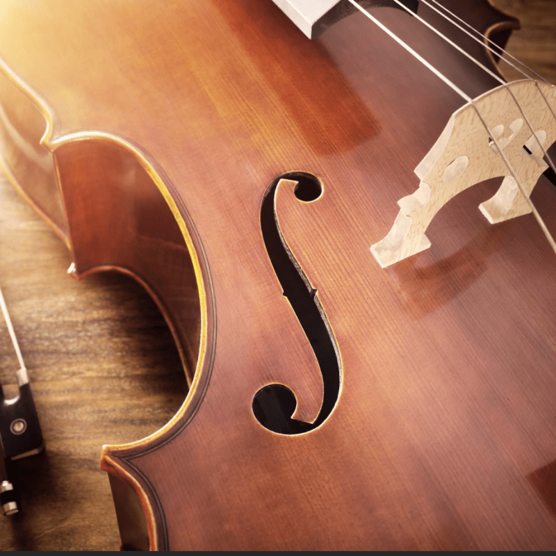 The effect of improved muscular endurance on playing related musculoskeletal disorders in professional orchestral string players. -A research&nbsp;proposal.